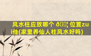 风水柱应放哪个 🐦 位置zui
佳(家里养仙人柱风水好吗)